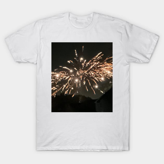 Fireworks! T-Shirt by JoyInArt